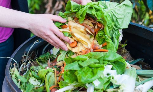 FOOD WASTE PROBLEM - Almost half of the bins are filled with wasted food-