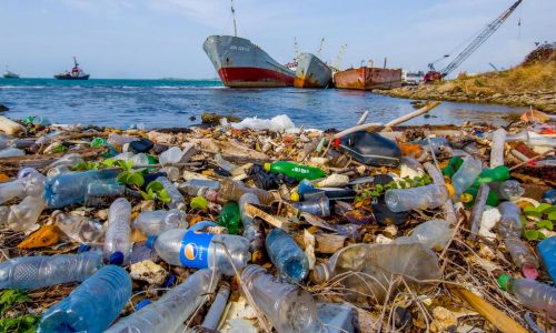 PLASTIC PROBLEM - By 2050, there will be more plastic in ocean than fish